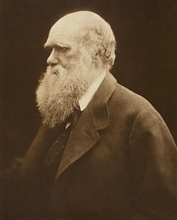 Charles Darwin portrait